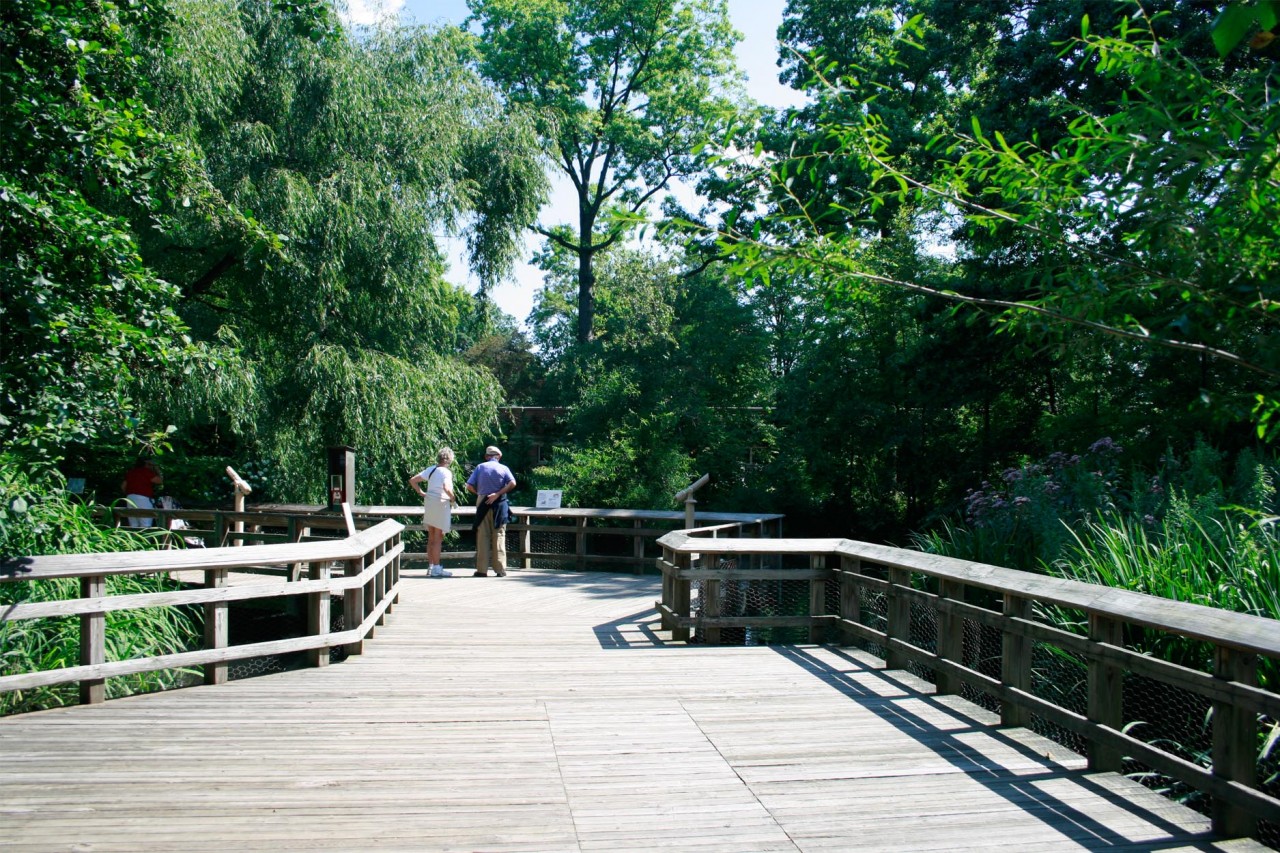 Prospect Park Zoo_04 Quennell Rothschild & Partners