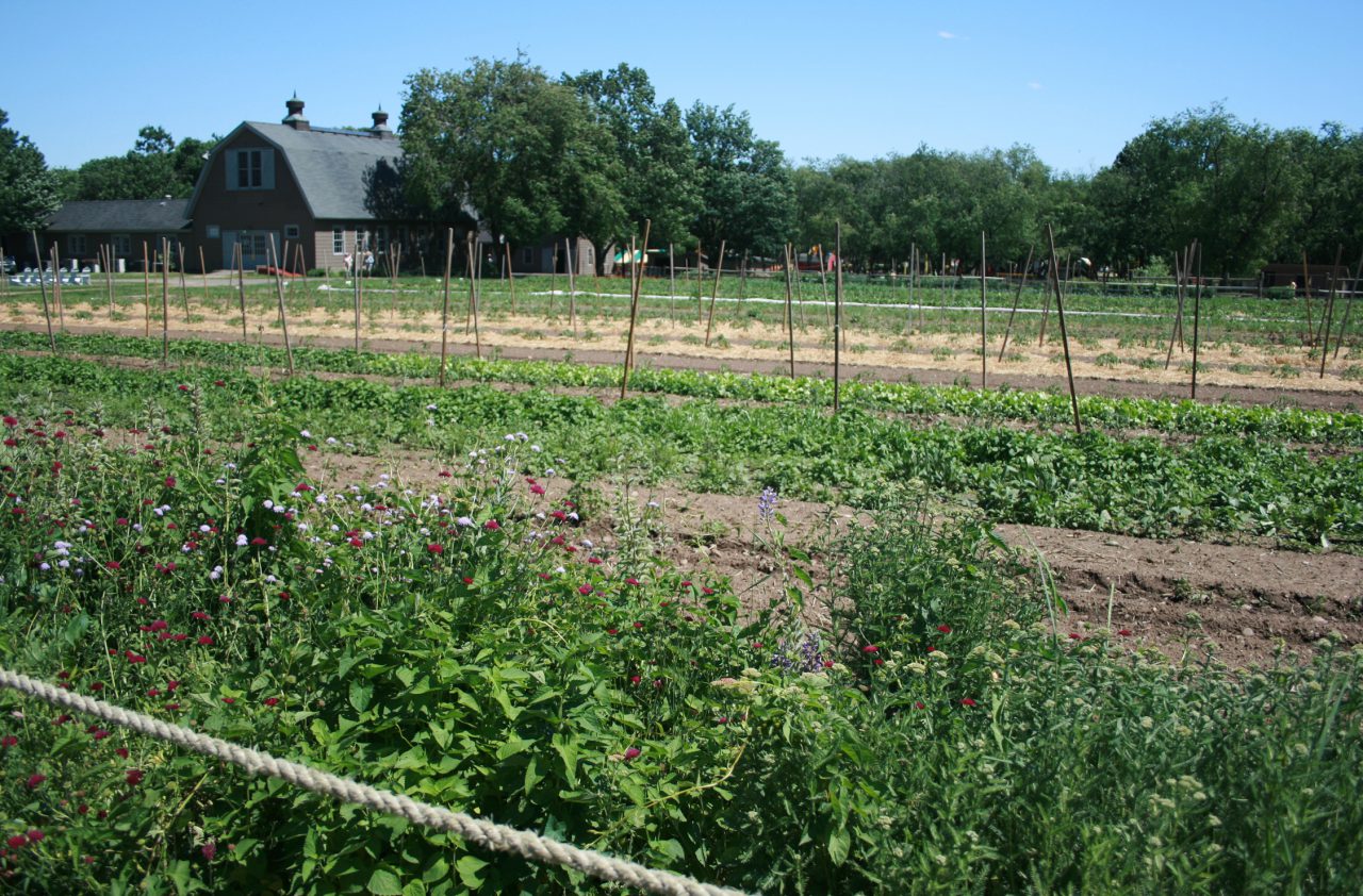 Queens Farm_01 Quennell Rothschild & Partners