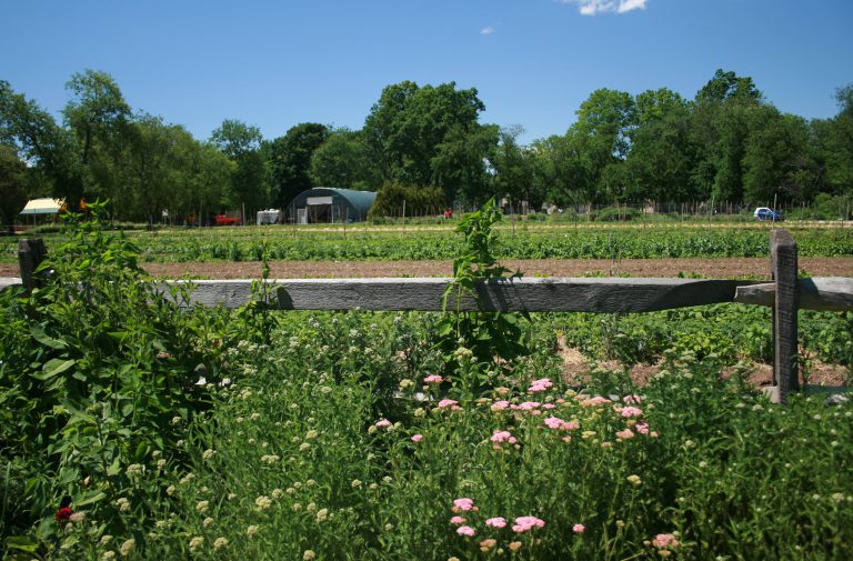Queens Farm_10 Quennell Rothschild & Partners