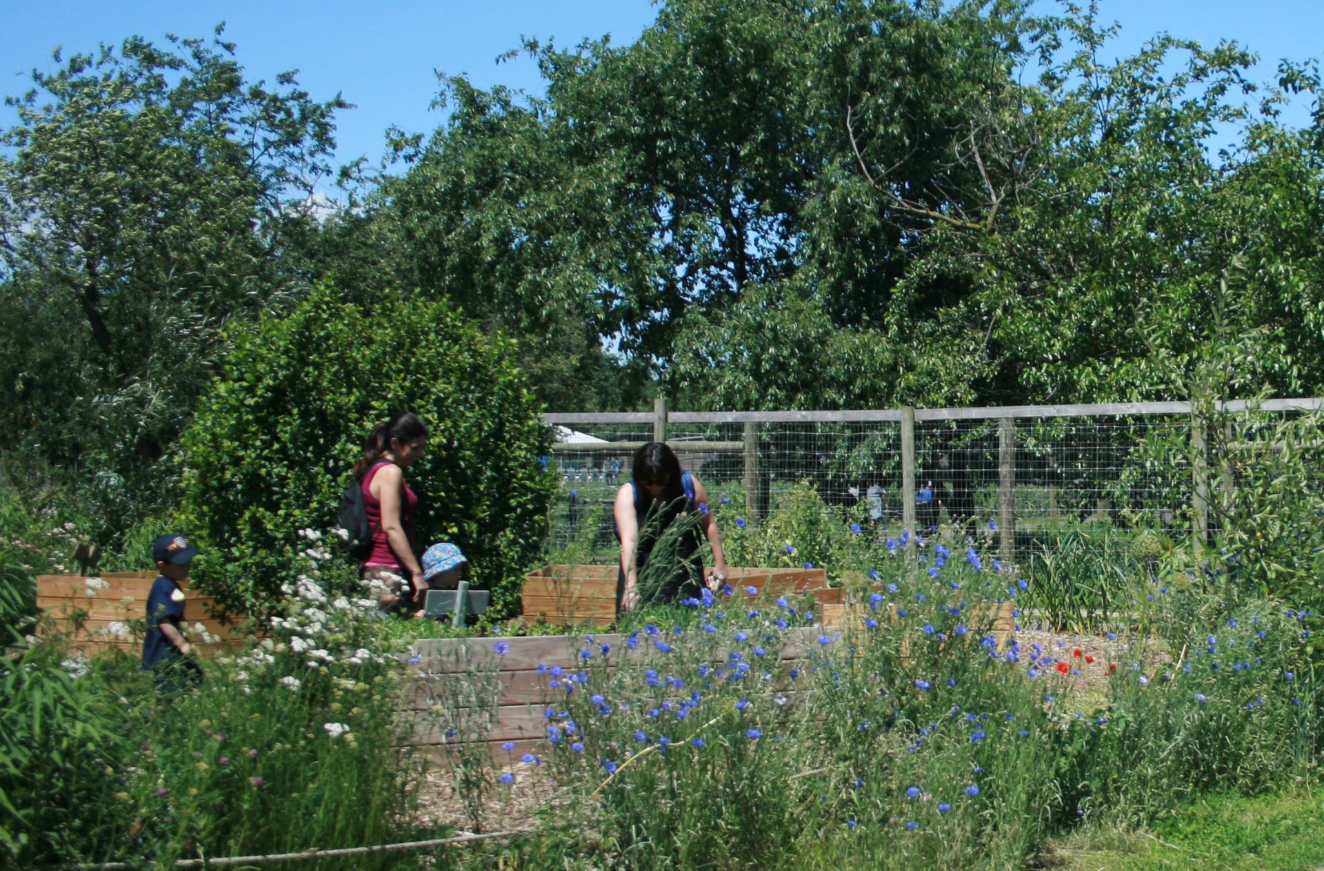 Queens Farm_11 Quennell Rothschild & Partners