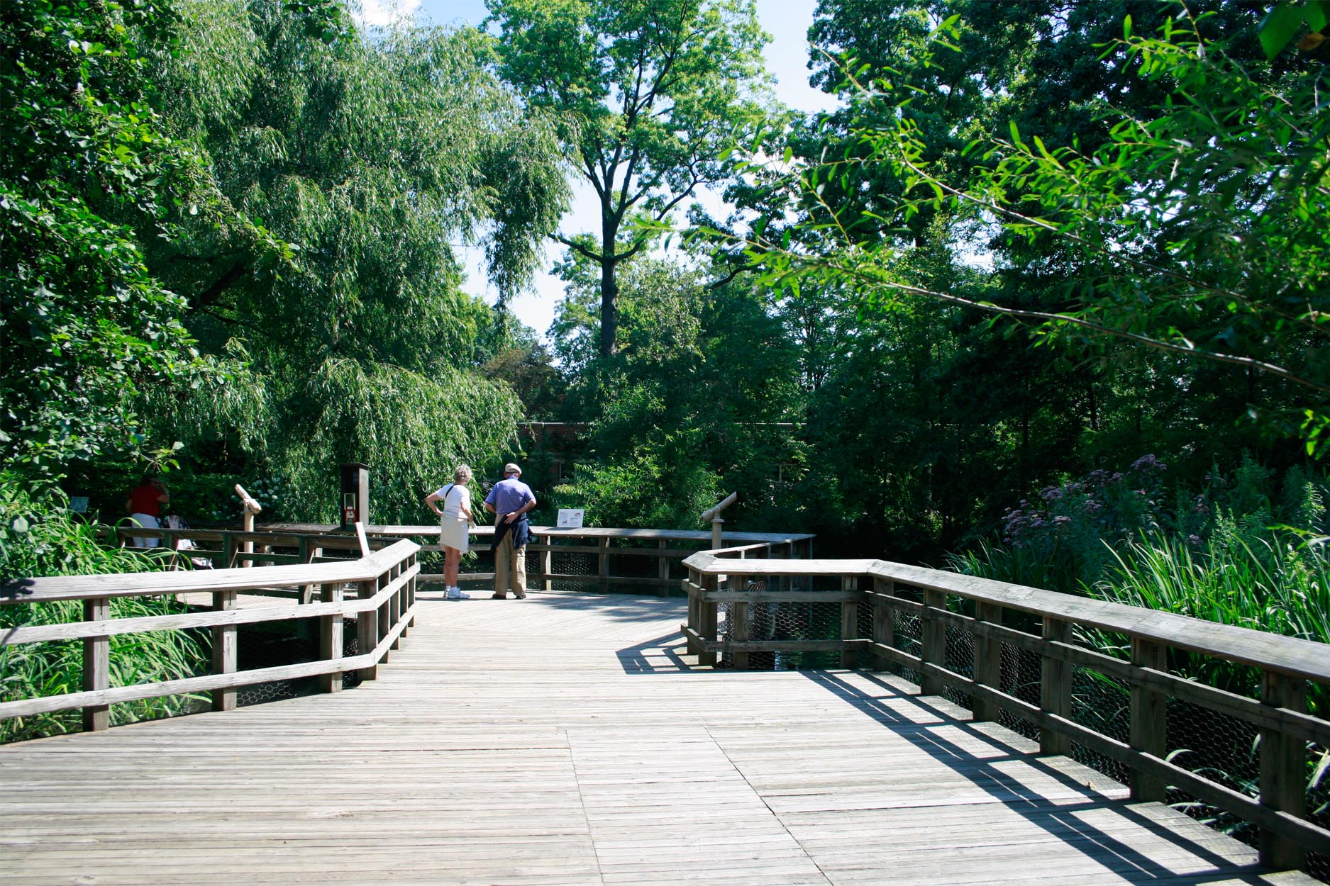 Prospect Park Zoo landscape architecture