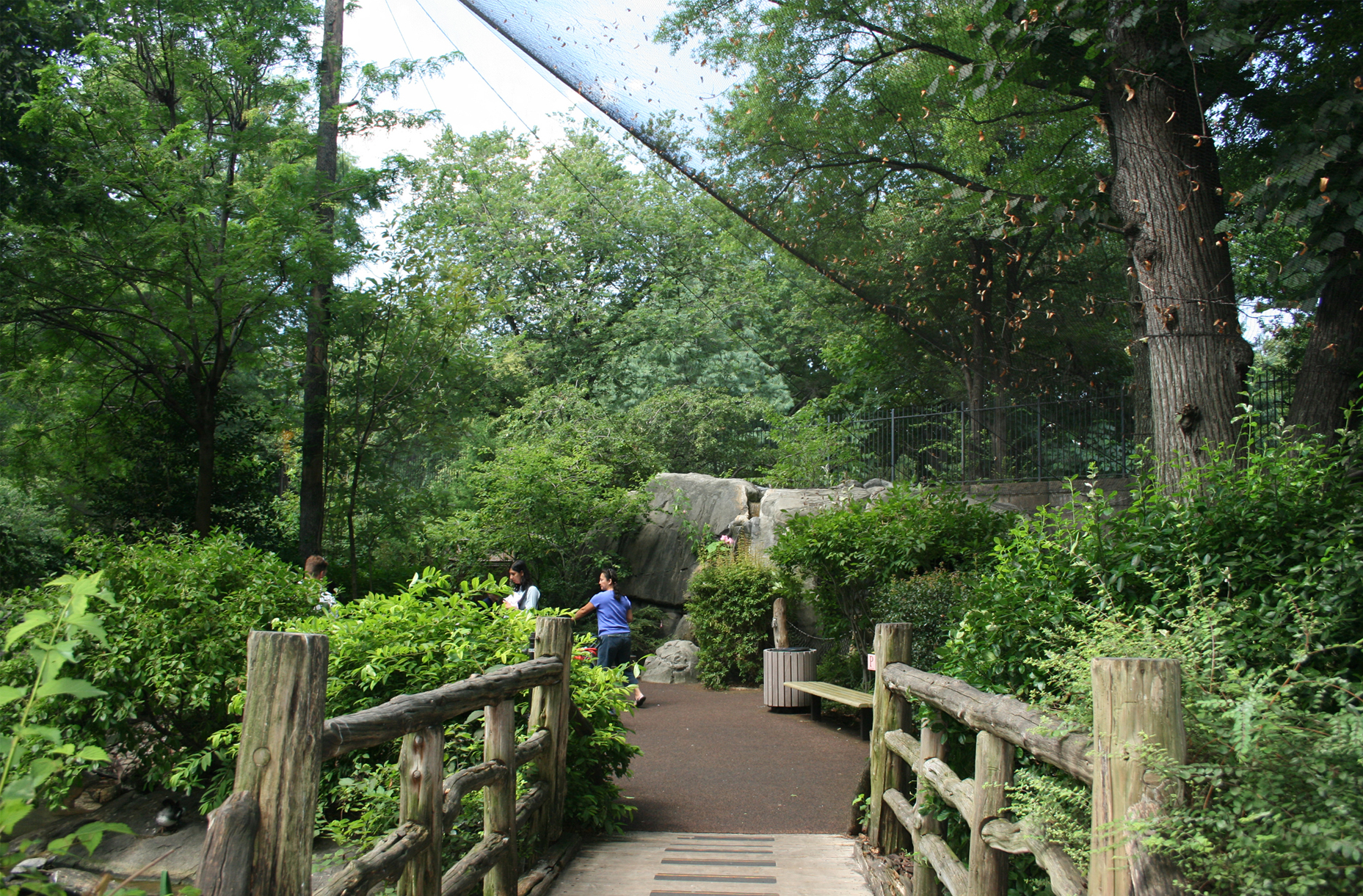 Central Park zoo landscape architecture
