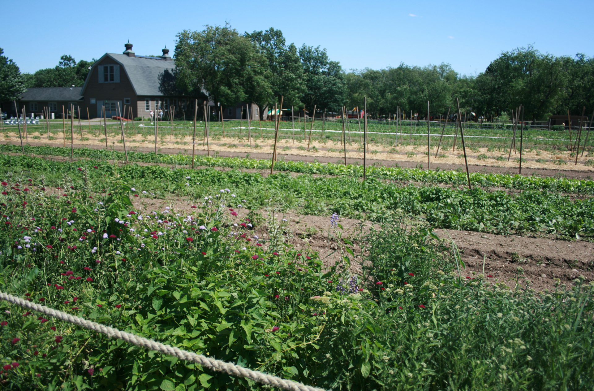 Queens Farm_01 Quennell Rothschild & Partners