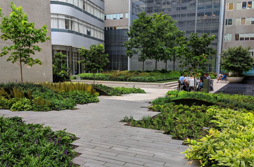 tisch courtyard image_crop